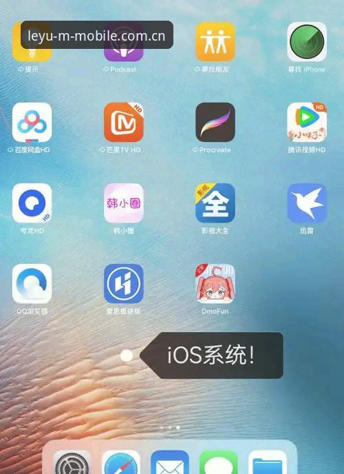 乐鱼体育平台把官方站带在身边苹果iOS下载安装教程